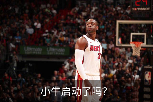 小牛启动了吗？