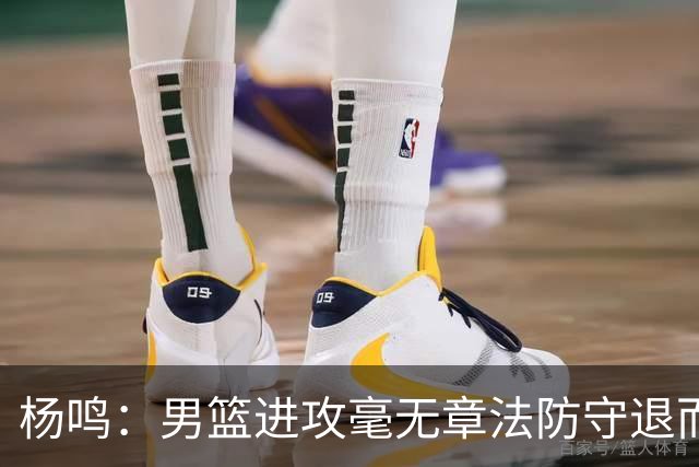 杨鸣：男篮进攻毫无章法防守退而不守 能力&配合&斗志&心态都不行
